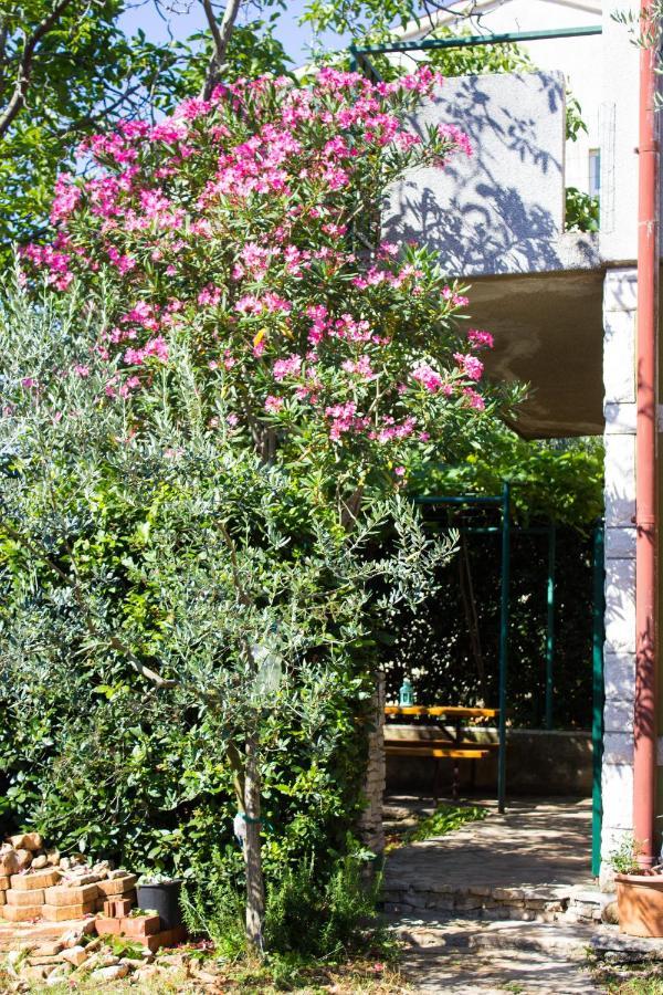 Bilini Garden Apartment Pola Esterno foto