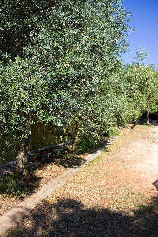 Bilini Garden Apartment Pola Esterno foto